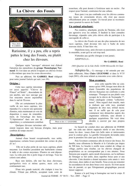 Chèvre Kalahari : caractéristiques, origine, utilisations - Infoferme