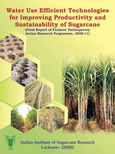 Water Use Efficient Technologies for Improving Productivity and ...