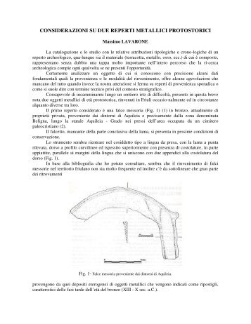 considerazioni su due reperti metallici protostorici - Società Friulana ...