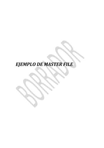 EJEMPLO DE MASTER FILE - CISS