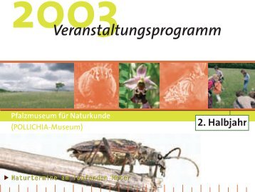 Veranstaltungsprogramm 2. Halbjahr 2003 - Pfalzmuseum für ...