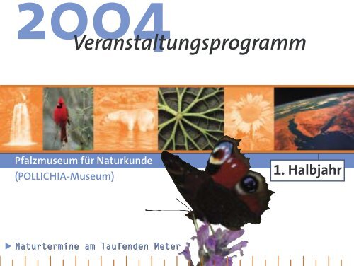 Veranstaltungsprogramm 1. Halbjahr 2004 - Pfalzmuseum für ...