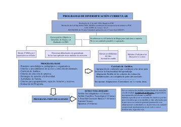 PROGRAMAS DE DIVERSIFICACIÓN CURRICULAR