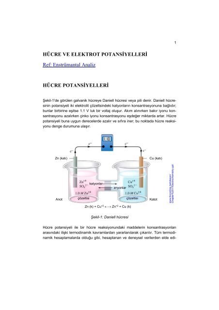 Hücre ve Elektrot Potansiyelleri