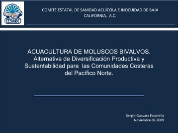 ACUACULTURA DE MOLUSCOS BIVALVOS ... - Semarnat
