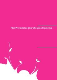 Plan Provincial de Diversificación Productiva - COPADE