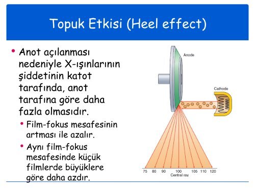 Temel Röntgen Fiziği