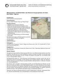 Projektbeschreibung (pdf) - Institut für Wasser und ...