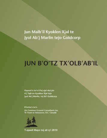 JUN B'O'TZ TX'OLB'AB'IL - Download Executive ... - HRIA - Guatemala