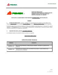 BASES ESPECIFICCIONES TECNICAS - PEMEX