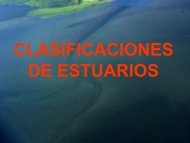 CLASIFICACIONES DE ESTUARIOS