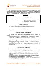Acta Reunion Burgos - Colegio Profesional de Fisioterapeutas de ...