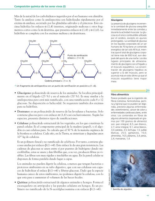 u Composición química de los seres vivos (I) 1unidad 1 - Editex