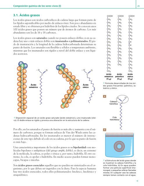 u Composición química de los seres vivos (I) 1unidad 1 - Editex