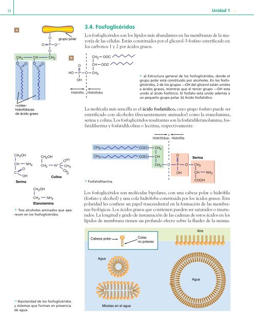 u Composición química de los seres vivos (I) 1unidad 1 - Editex