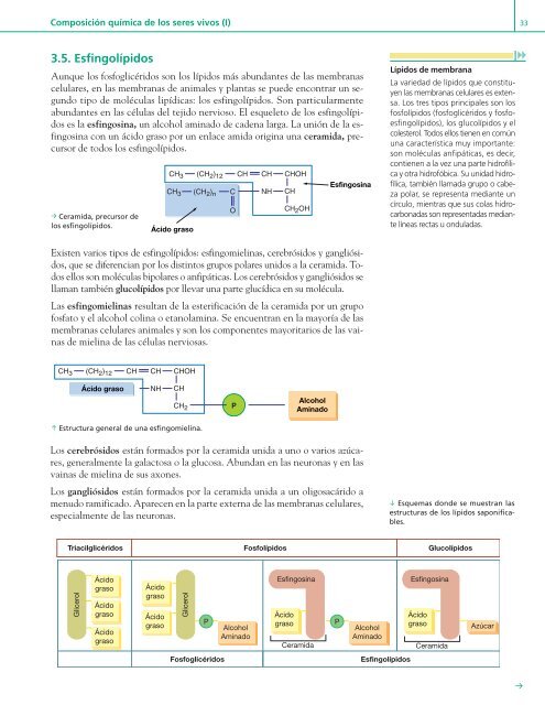 u Composición química de los seres vivos (I) 1unidad 1 - Editex