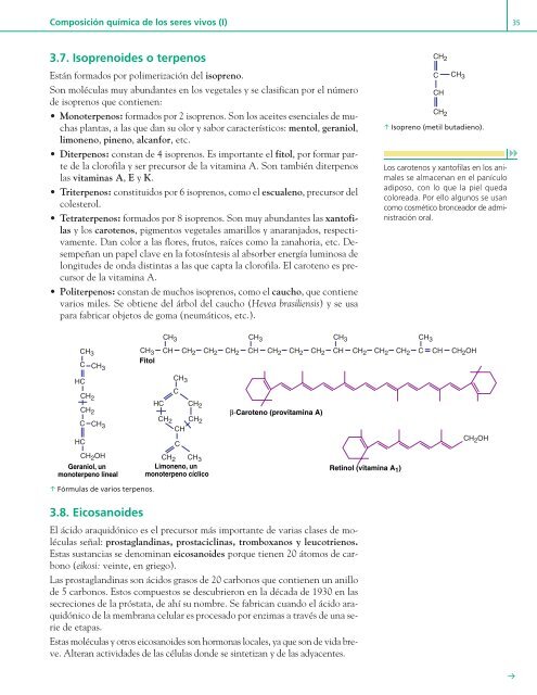 u Composición química de los seres vivos (I) 1unidad 1 - Editex