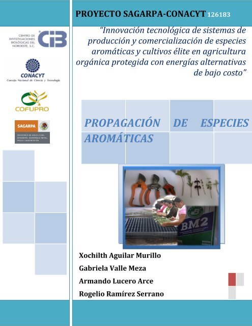 propagación de especies aromáticas - Centro de Investigaciones ...