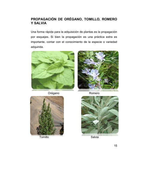 propagación de especies aromáticas - Centro de Investigaciones ...