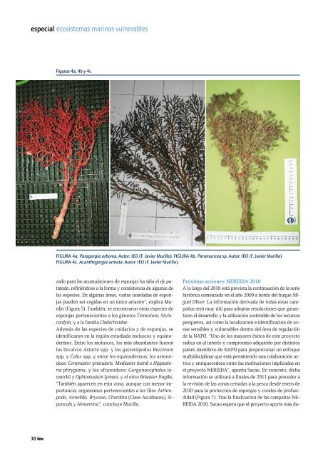 revista IEO - El Instituto Español de Oceanografía