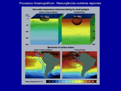 Processos Oceanográficos: Fenômenos em meso escala 1 ...
