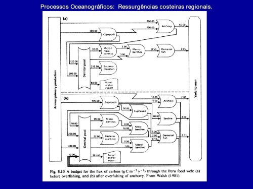 Processos Oceanográficos: Fenômenos em meso escala 1 ...