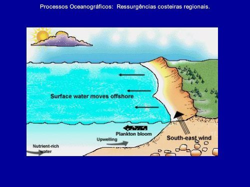 Processos Oceanográficos: Fenômenos em meso escala 1 ...