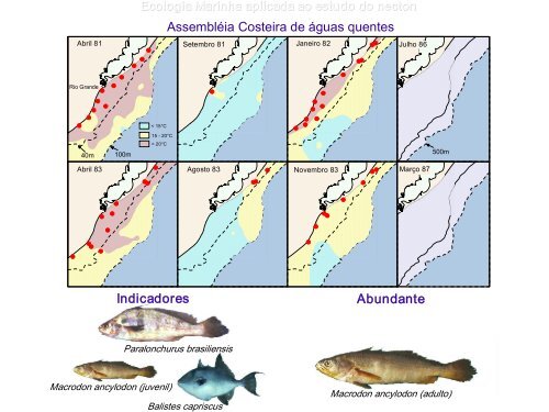 Processos oceanográficos - Departamento de Oceanografia e ...