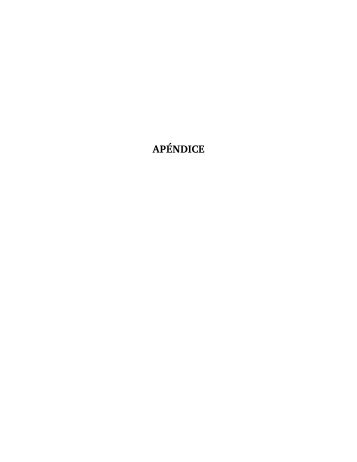 Apendice