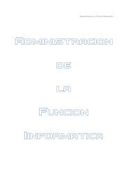 Administracion de la Funcion Informatica.pdf - ittla