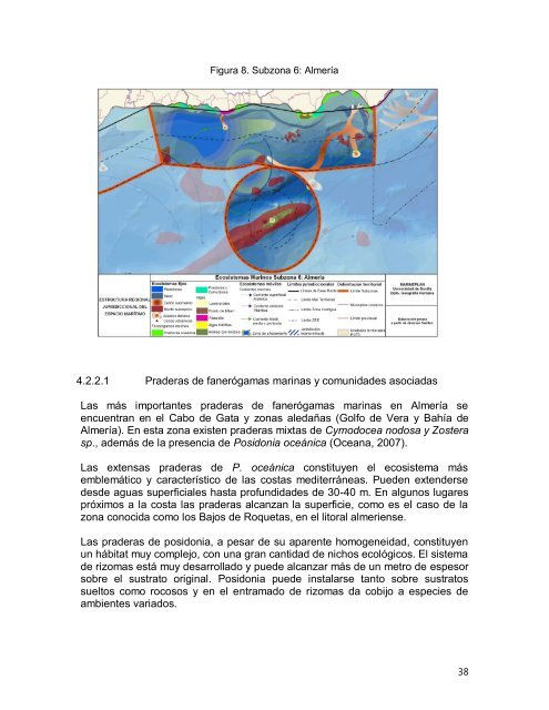 caracterización de ecosistemas de los mares andaluces - Marineplan