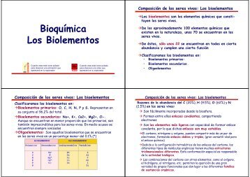 Bioquímica Los Biolementos