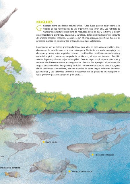 Galapagos marine and coastal environments (Spanish) ( 6.75 Mb)