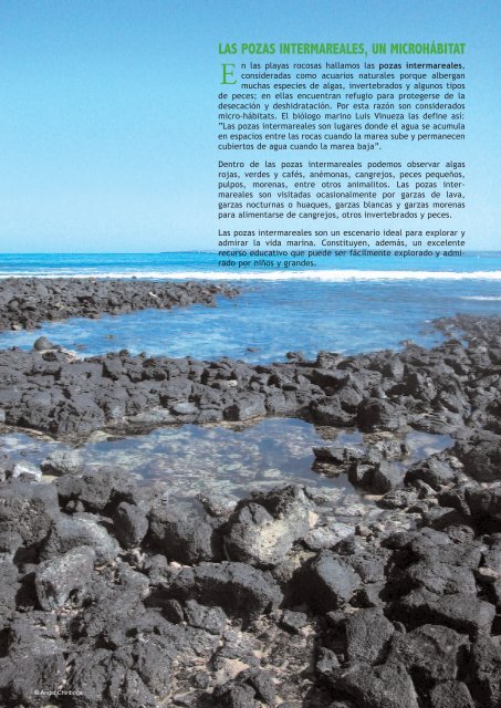 Galapagos marine and coastal environments (Spanish) ( 6.75 Mb)