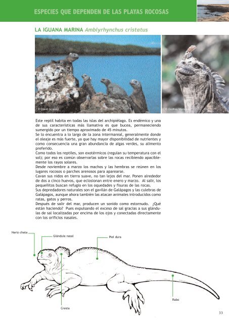 Galapagos marine and coastal environments (Spanish) ( 6.75 Mb)