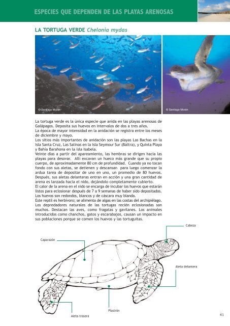 Galapagos marine and coastal environments (Spanish) ( 6.75 Mb)