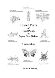 Insect Pests - Learn Grow