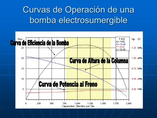 Presentación Tesis de Grado CXRP...-1.pdf - DSpace en ESPOL