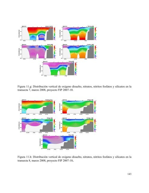 Bajar Informe Final (texto completo) en formato pdf - Fondo de ...