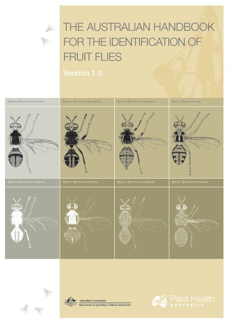 National Fruit Fly Diagnostic Protocol - IPPC.int