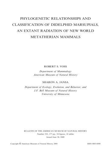 phylogenetic relationships and classification of didelphid marsupials ...