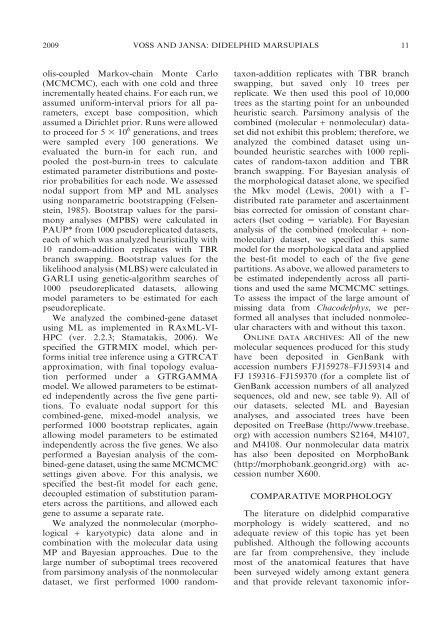 phylogenetic relationships and classification of didelphid marsupials ...