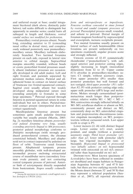 phylogenetic relationships and classification of didelphid marsupials ...