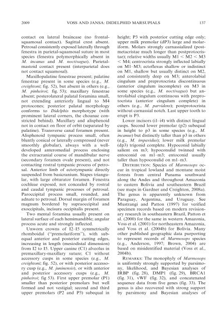 phylogenetic relationships and classification of didelphid marsupials ...