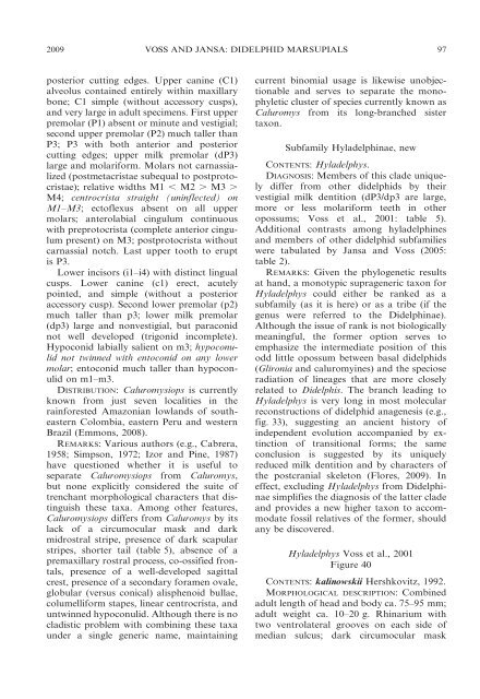 phylogenetic relationships and classification of didelphid marsupials ...