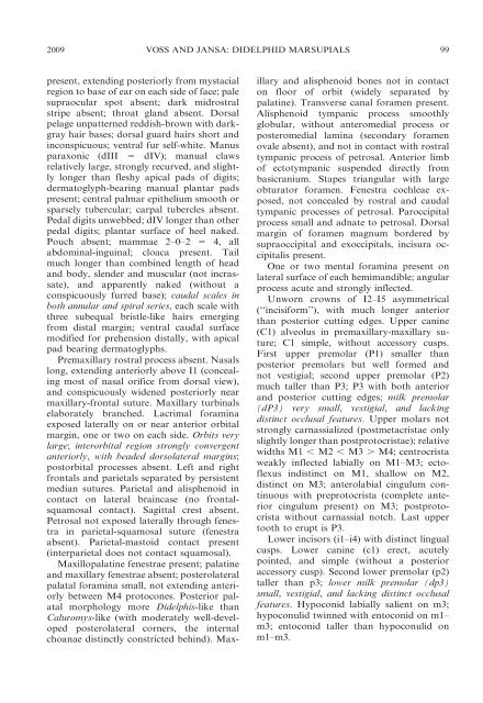 phylogenetic relationships and classification of didelphid marsupials ...