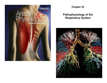 Pathophysiology of the Respiratory System