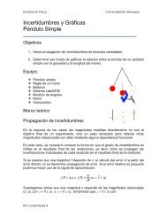 Práctica Incertidumbre y gráficas - Instituto de Física - Universidad ...