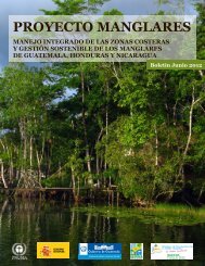 proyecto manglares - Programa de Naciones Unidas para el Medio ...