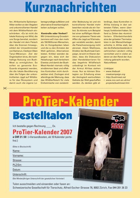 Heft 4/2006 - Pro Tier